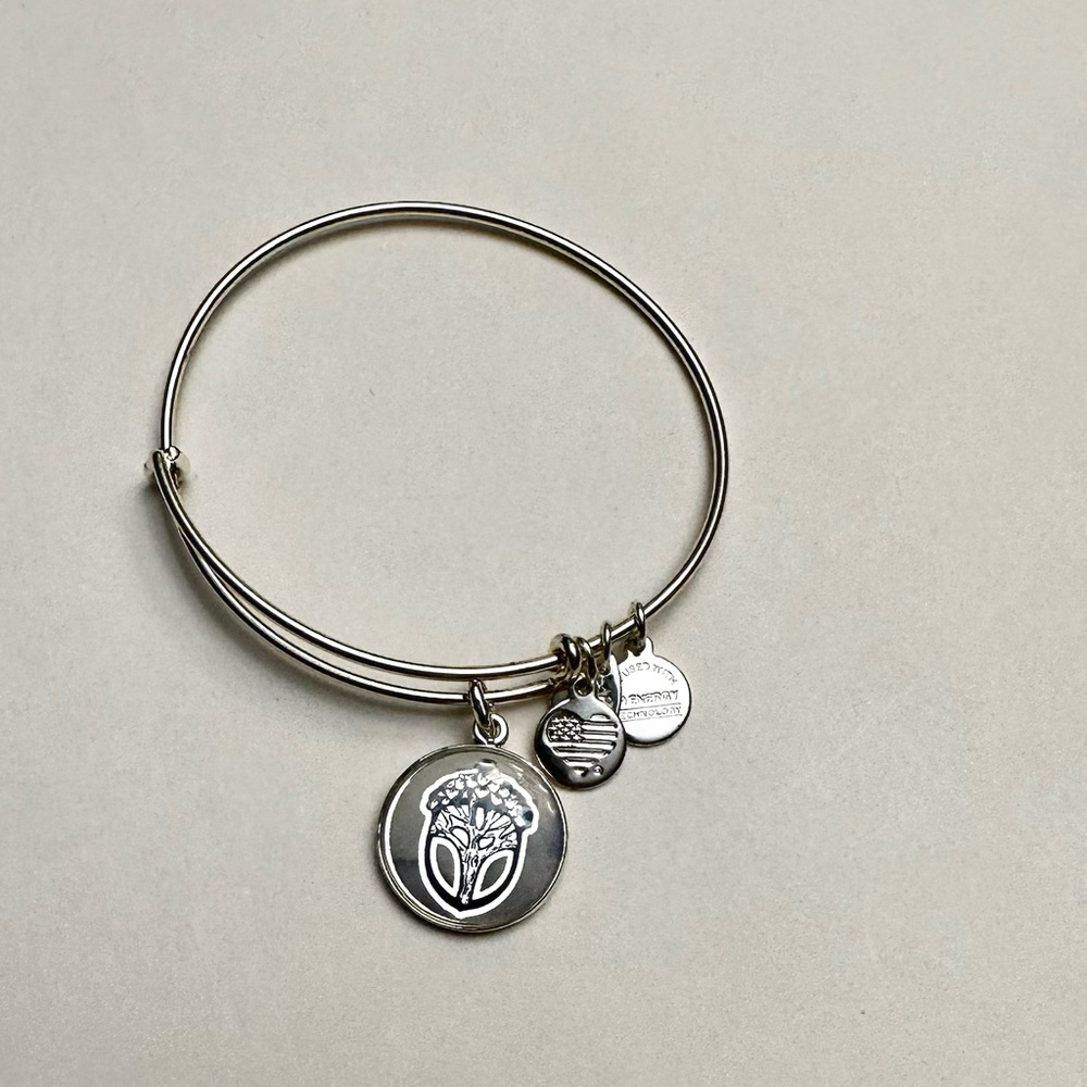 Alex and Ani Shiny Silver Unexpected Miracles Bracelet